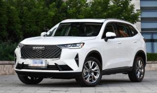 一克头发多少钱 一克头发多少钱